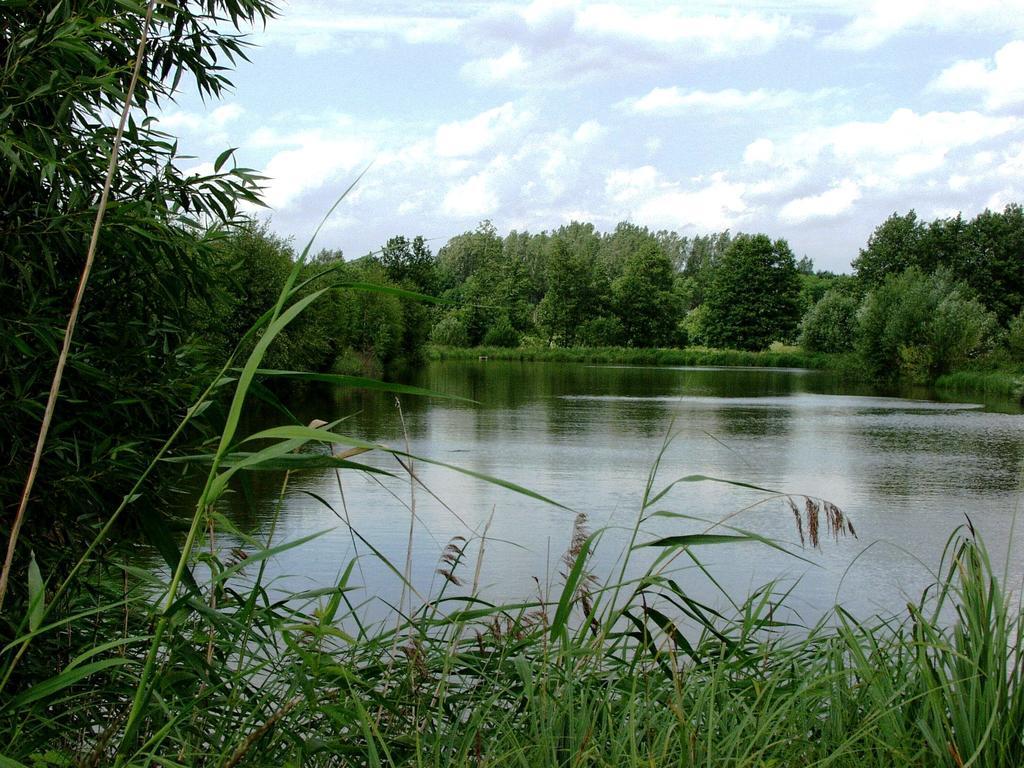 Na Skraju Lasu Chodel Buitenkant foto